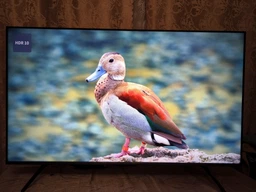 Телевизор TCL MiniLED 55" 55C6K фото от покупателей 13