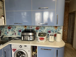 Мультипечь PHILIPS Ovi Dual Steam NA555/00 фото от покупателей 13