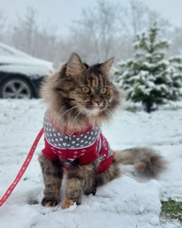 Светр для котів (кішок) Різдво XL Червоний