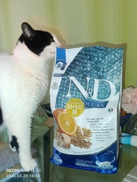 Сухий корм Farmina N&D Low Grain Ocean Ancestral Cod & Orange для котів з тріскою та апельсином 1кг (на вагу)