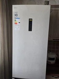 Холодильник LG GC-B509MEWM