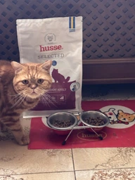 Сухий корм для підтримки здоровя сечовидільної системи котів HUSSE SENSITIVE URINARY CARE 2 кг фото от покупателей 3