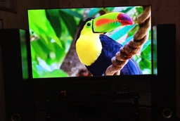 Телевізор Xiaomi TV A Pro 65 2026 фото від покупців 11
