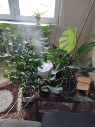 Зволожувач повітря великий для дому Humidifier настільний з аромадифузором 4Л фото від покупців 10