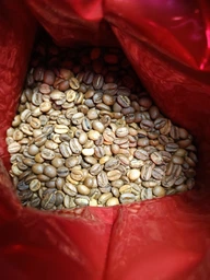 Кофе PACAMARA Ethiopia Guji Adola в зернах 250 г (4820287550427)