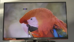 Монітор 24.5" AOC 25G3ZM/BK -- FHD VA 8-Bit / 240 Hz / 1 ms (GTG) / Adaptive Sync / G-SYNC Compatible / Freesync Premium