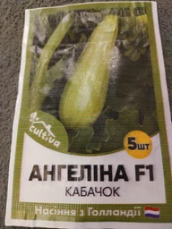 Голландське насіння Syngenta Кабачок Ангелина F1 5 шт