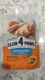 Вологий корм Club 4 Paws для дорослих кішок з Лососем в желе Преміум 85 г (4820215369015)
