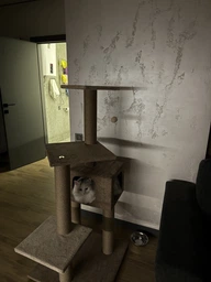 Домик когтеточка для кота дряпка для кошки Мур-Мяу Алиса-2 70 x 70 x 138 см в джутовой веревке Коричнево-Бежевый МТ фото от покупателей 2