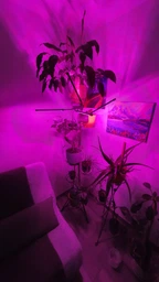 Фитолампа светодиодная LED Plant Grow Light на 4 лампы для роста растений на прищепке фитосветильник для комнатных цветов, рассады фото от покупателей 2