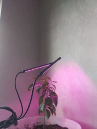 Фитолампа светодиодная LED Plant Grow Light на 4 лампы для роста растений на прищепке фитосветильник для комнатных цветов, рассады фото от покупателей 1