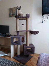 Домик когтеточка для кота дряпка для кошки Мур-Мяу Дуплекс 60 x 60 x 138 см в джутовой веревке Коричневый МТ фото от покупателей 2