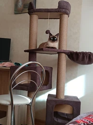 Домик когтеточка для кота дряпка для кошки Мур-Мяу Дуплекс 60 x 60 x 138 см в джутовой веревке Коричневый МТ