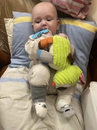 Игрушка-подвеска Собачка SKK Baby на коляску, кроватку, автокресло, прорезыватель+погремушка (2509204203) фото от покупателей 1