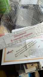 Муравьиная ферма ANTKingdom Комплект MEDIUM S Коричневая 19х10х6,3 см - Формикарий фото от покупателей 4