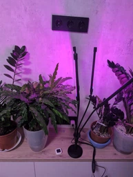 Фитолампа USB для роста растений на 4 лампы с подставкой, светодиодная LED фито лампа светильник для комнатных цветов, рассады, орхидей фото от покупателей 7