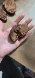 Кора сосновая голтованная (шлифованная), для орхидей средняя фракция 1 литр фото от покупателей 3