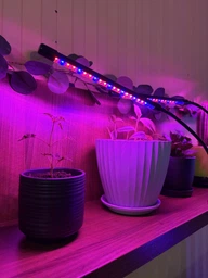 Фитолампа для роста растений на 4 лампы, светодиодная LED фито лампа на прищепке светильник для комнатных растений рассады (черная) фото от покупателей 1