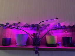 Фитолампа для роста растений на 4 лампы, светодиодная LED фито лампа на прищепке светильник для комнатных растений рассады (черная) фото от покупателей 2