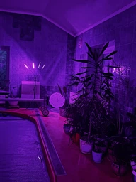 Світлодіодна фітолампа для росту рослин та розсади Gardlov Повний спектр 4 голови фото від покупців 5