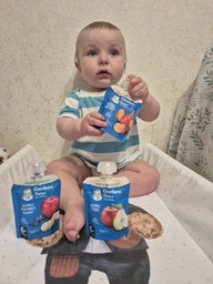 Упаковка пюре фруктово-овочевого Gerber Яблуко, Гарбуз, Абрикос з 6 місяців 90 г х 16 шт. (7613036035002) фото від покупців 1