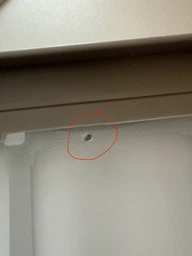 Сушильна машина Gorenje DHNE82 фото от покупателей 1