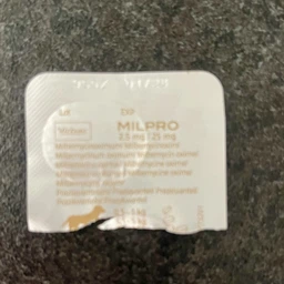 Таблетки от гельминтов Милпро (Milpro) для щенков и мелких пород собак 2,5 мг/25 мг, 0,5 – 10 кг, 1 таблетка фото от покупателей 2