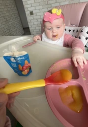 Пюре фруктово-овощное Gerber Яблоко, Тыква, Абрикос для детей с 6 месяцев 90 г (7613036034999) фото от покупателей 15