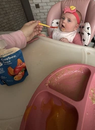 Пюре фруктово-овощное Gerber Яблоко, Тыква, Абрикос для детей с 6 месяцев 90 г (7613036034999) фото от покупателей 14