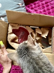 Миски керамические на подставке Trixie «Eat on Feet» 2 x 300 мл / 12 см (разноцветные)