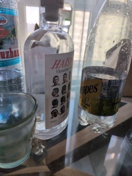 Джин Haister 0.05 л 42% (4820050237326)