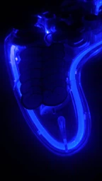 Беспроводной геймпад XTRIKE ME GP-52 Bluetooth, RGB, PS4/IOS/Android/PC/Nintendo фото от покупателей 2