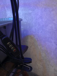 Фитолампа для растений на 4 ветки светодиодная LED с таймером USB 20Вт, настольная лампа для роста и цветения, комнатных и тепличных растений с клипсой-зажимом и USB питанием, красный, фиолетовый и синий свет Черная LP-418 фото от покупателей 19