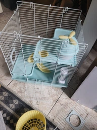 Клітка для малих гризунів з лабіринтом Золота клітка H3502B Рожева