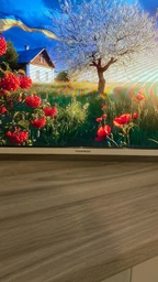 Телевизор Thomson QLED 32" 32FQG3S15CW фото от покупателей 2