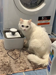 Поилка для животных Pet Water FOUNTAIN фото от покупателей 1