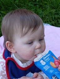 Пюре фруктово-овощное Gerber Яблоко, Тыква, Абрикос для детей с 6 месяцев 90 г (7613036034999) фото от покупателей 5