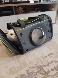 Сумка переноска для кота кошки собаки домашних животных до 8 кг с окошком иллюминатором и ремешком на плечо кошачьи сумки для переноски котов кошек маленьких собак котенка серая (002166) фото от покупателей 2