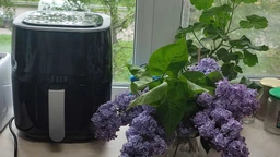 Мультипечь QUIN Air Fryer YJ-315AD фото от покупателей 8