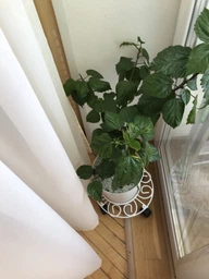 Підставка під квіти DecorArt "Ролік 30" 4x30 см білий фото від покупців 2