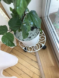 Підставка під квіти DecorArt "Ролік 30" 4x30 см білий фото від покупців 1