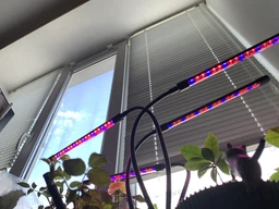 Фитолампа для растений на 4 ветки светодиодная LED с таймером USB 20Вт, настольная лампа для роста и цветения, комнатных и тепличных растений с клипсой-зажимом и USB питанием, красный, фиолетовый и синий свет Черная LP-418 фото от покупателей 8
