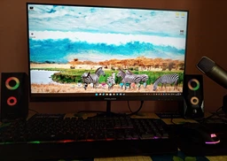 Монитор 23.8" Prologix PL2425HD IPS Black 120Hz