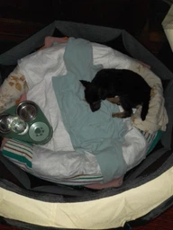Манеж для щенков, кошки 91 х 91 х 58 см серый Pet Joy фото от покупателей 1