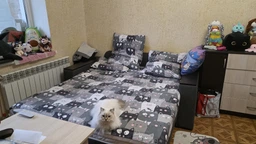 Простынь MirSon Бязь 17-0543 Hendri 200 х 220 см (2200003895650)