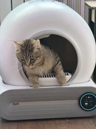 Розумний автоматичний лоток для котів iHunt Smart Cat Litter V1 з самоочищенням і фільтрацією запахів фото від покупців 3