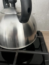 Чайник со свистком Tefal 2.5 л (N4210310) фото от покупателей 4