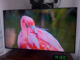 Телевизор TCL MiniLED 55" 55C6K фото от покупателей 3