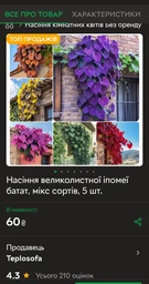 Семена крупнолистной ипомеи батат, микс сортов, 5 шт фото от покупателей 1