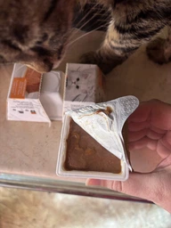 Вологогий корм для котів мус з підливою Purina Gourmet Revelations Пуріна Гурмет Релевейшн з куркою 2 шт х 57 г (7613287070081) фото от покупателей 3
